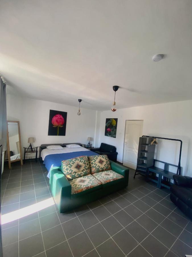 River House - Luxury House On The Border Of The Tisza River Arokto エクステリア 写真